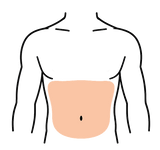 Bauchraum