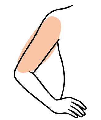 Arms f