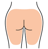 Glutei